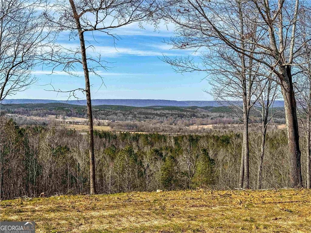 Back Berryton Rd., Summerville, GA 30747