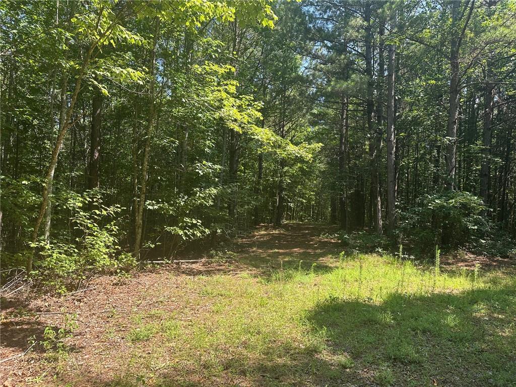 1A Patriot View Dr., Dahlonega, GA 30533