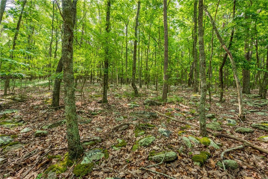 307 Stonehaven Ct., Jasper, GA 30143