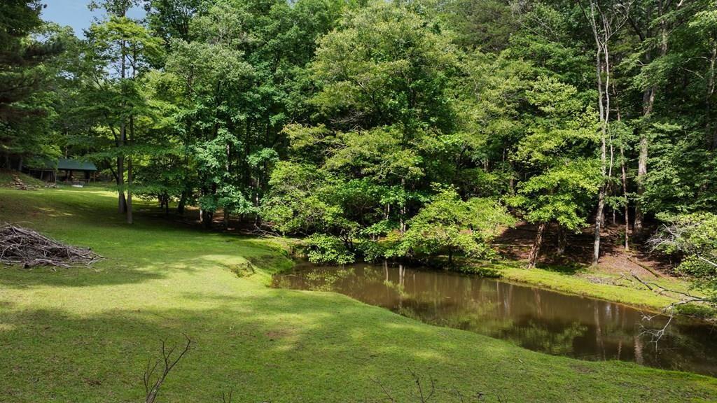 284 Tickanetley Rd., Ellijay, GA 30536