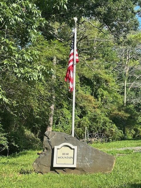 Bear Mountain Rd., Ranger, GA 30734