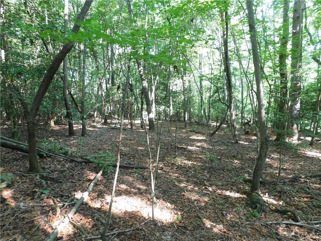 00 Chester Rd., Dahlonega, GA 30533
