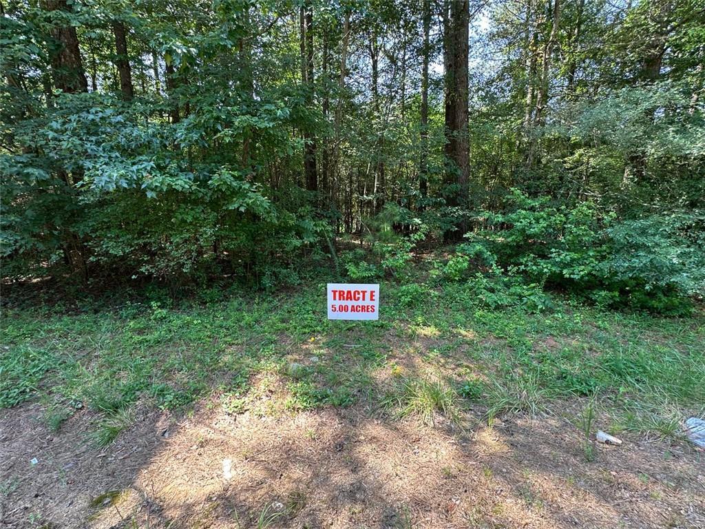 000 E Highway 140 Tract E, Adairsville, GA 30103