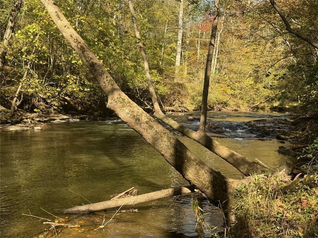 00 Captain Mcdonald, Dahlonega, GA 30533