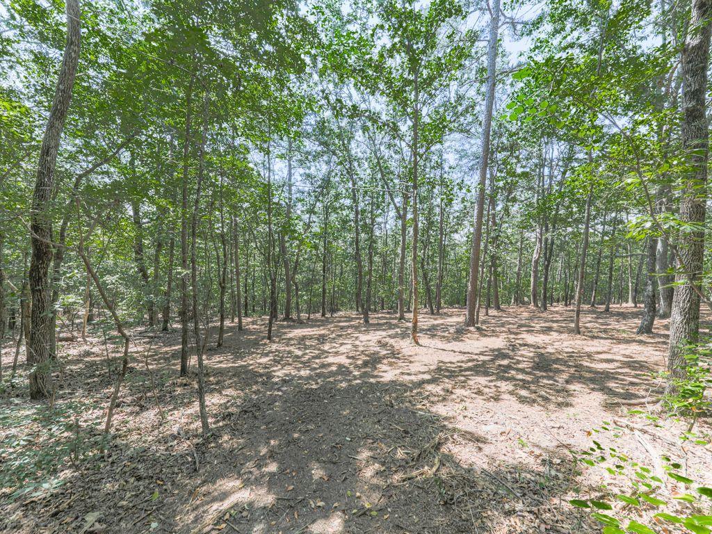 313 Mountain Top Rd, Waleska, GA 30183
