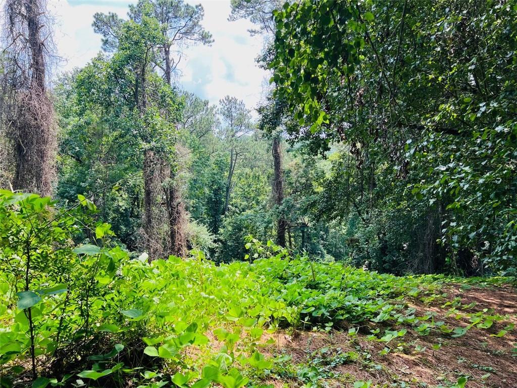 Lot 6 N Riverside Cir., Sandy Springs, GA 30328