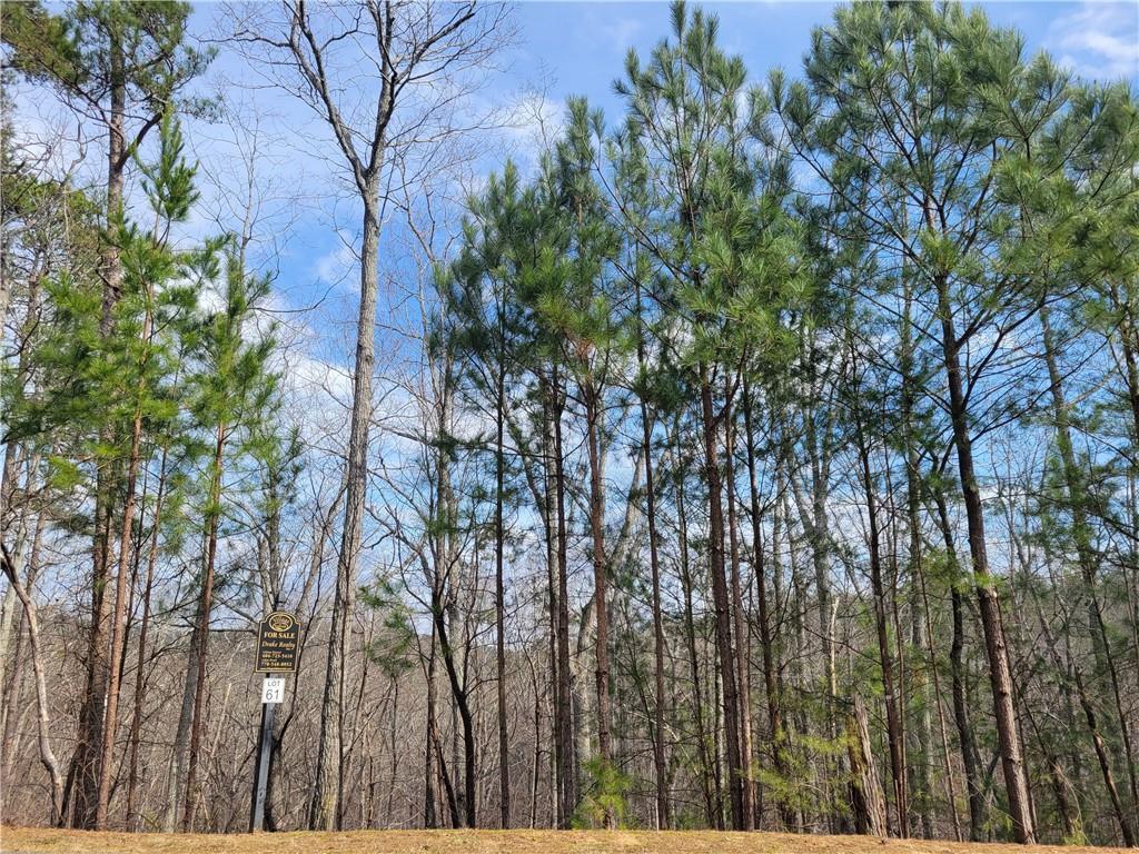 16 Somerset Ln., Cartersville, GA 30121