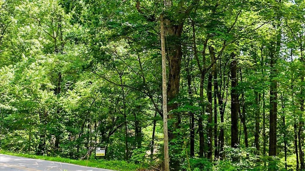 1 Henderson Mountain Rd., Jasper, GA 30143