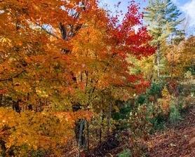 Edinborough Ct., Ellijay, GA 30143