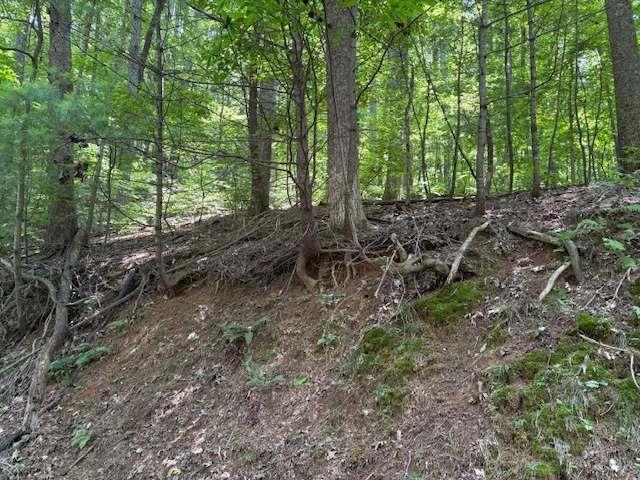 Mountain View Ct., Ellijay, GA 30536