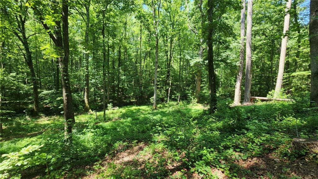 134 Cicero Tr., Dawsonville, GA 30534