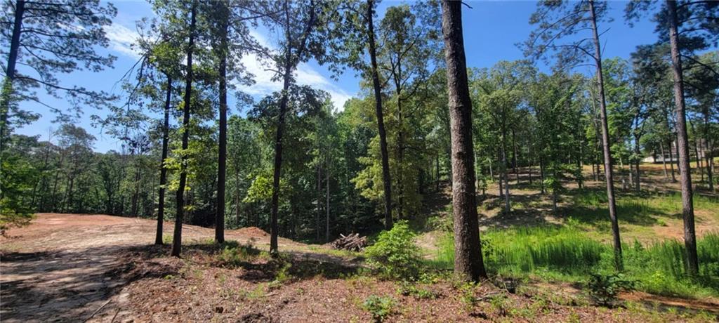 64 Beacon Pl., Dallas, GA 30132