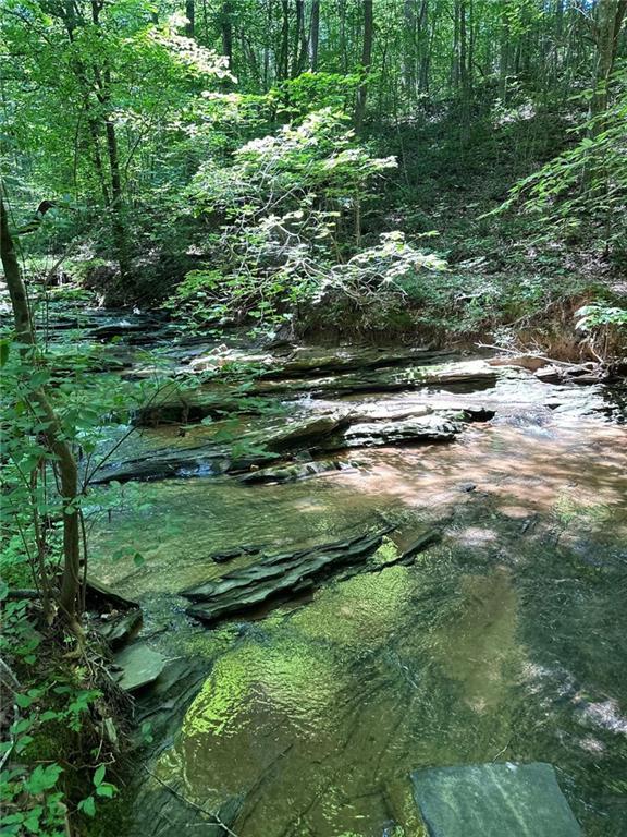 Hidden Creek Rd, Jasper, GA 30143