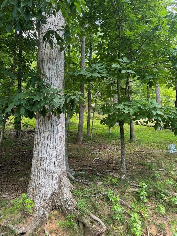 830 N Duffer Dr., Jasper, GA 30143