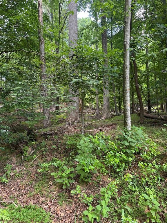 832+ N Duffer Dr., Jasper, GA 30143