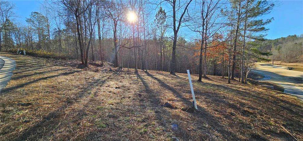 42 Lookout Point, Toccoa, GA 30577