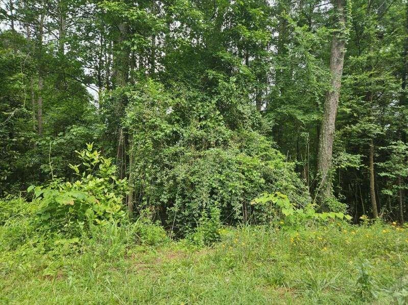 2435 Hi Roc Cir., Conyers, GA 30012