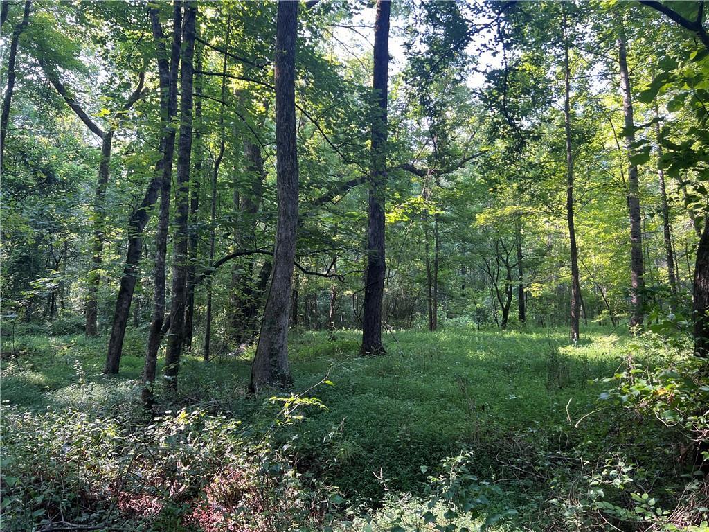 Mac Garner Rd., Temple, GA 30179