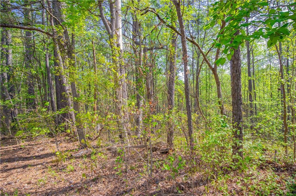 Lake Esther Dr., Fairburn, GA 30213
