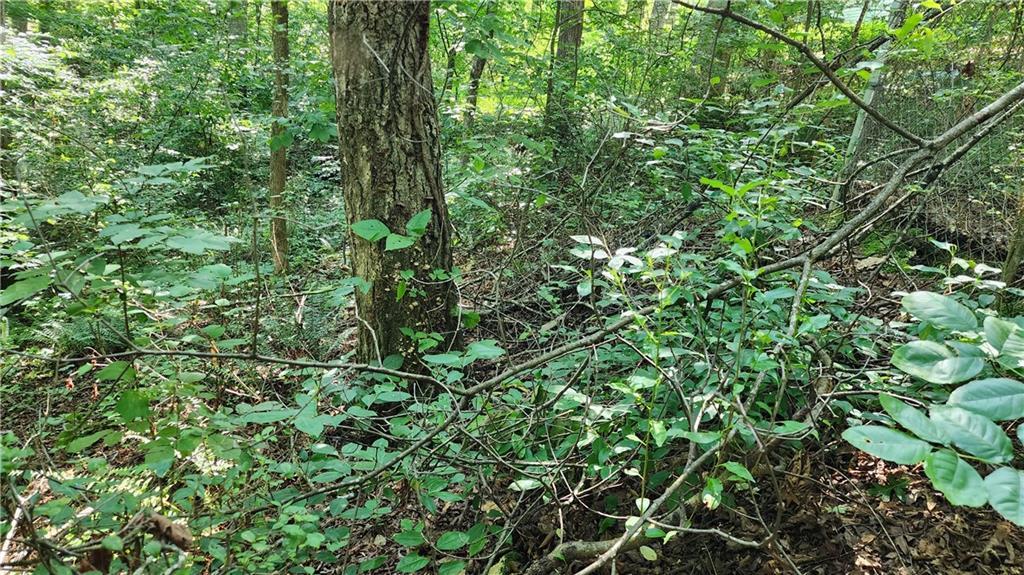 Imperial Dr., Cumming, GA 30041
