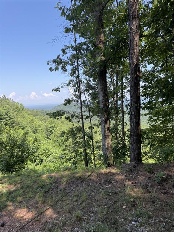 1588 Paladin Dr., Ranger, GA 30734