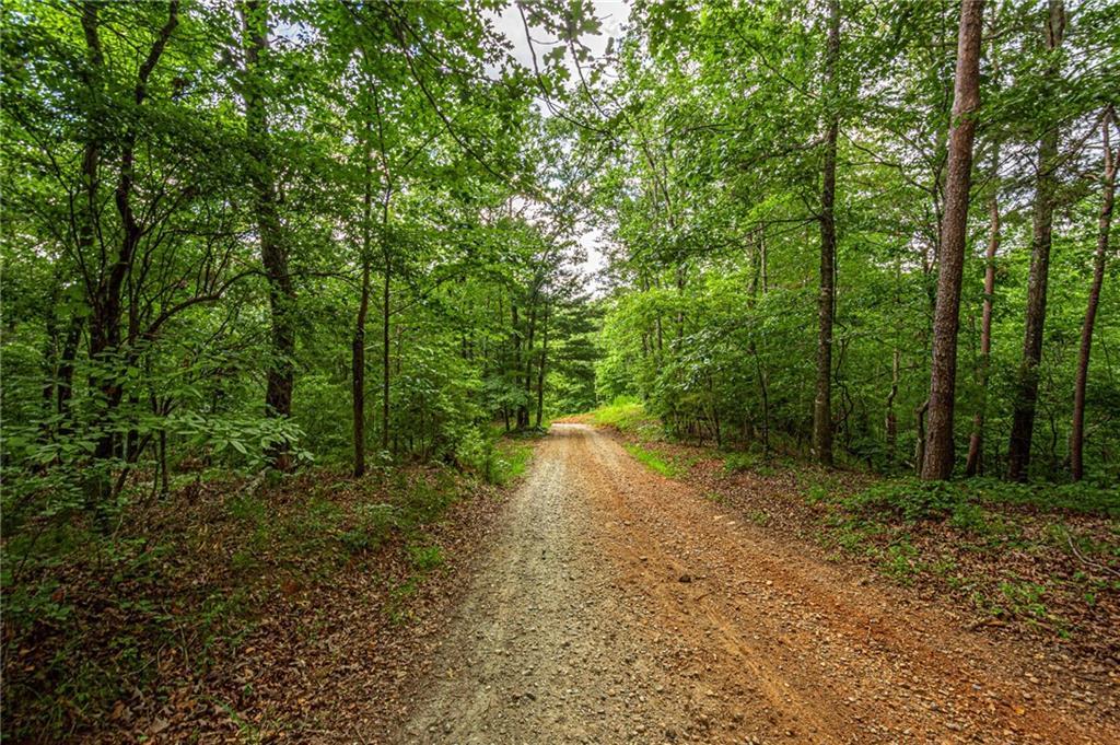 Trct 3 Lawrence Rd., Dawsonville, GA 30534