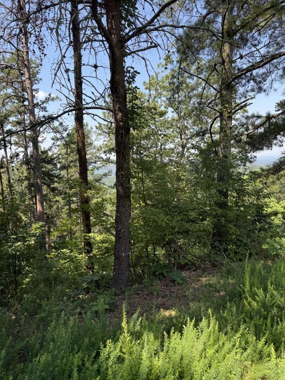 1579 Dallas Ct., Ranger, GA 30734