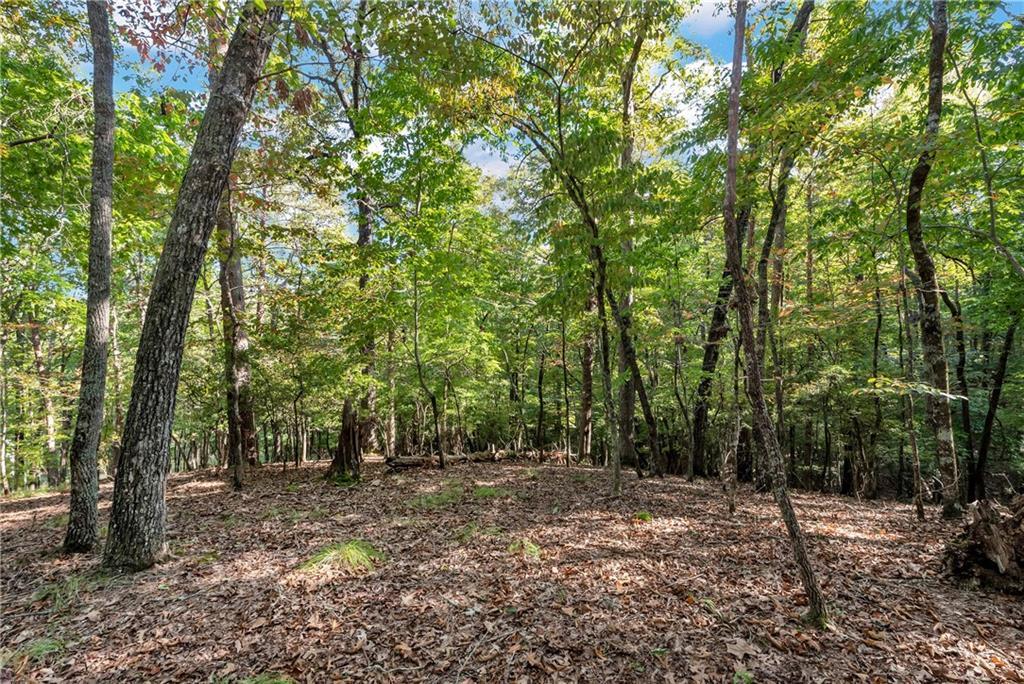 133 Stamp Mill Dr., Dahlonega, GA 30533