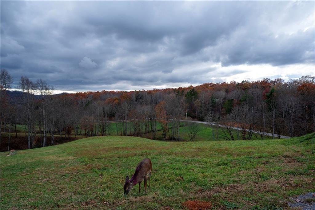 LOT 22 Lower Ridge Tr., Morganton, GA 30560