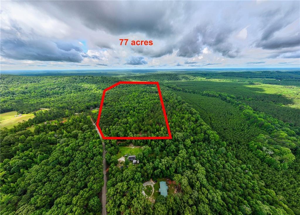 South Porter Road, Shiloh, GA 31826