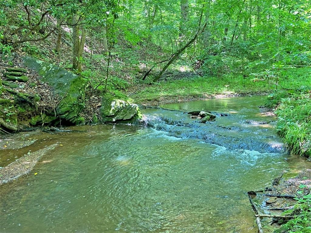 39ac Myrtle Dr., Dawsonville, GA 30534