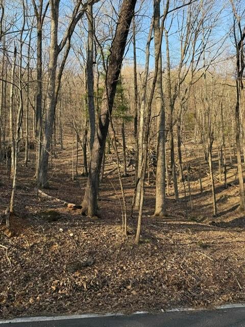 210 Windflower Dr., Big Canoe, GA 30143