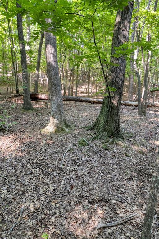 90 Cardinal Cove, Big Canoe, GA 30143