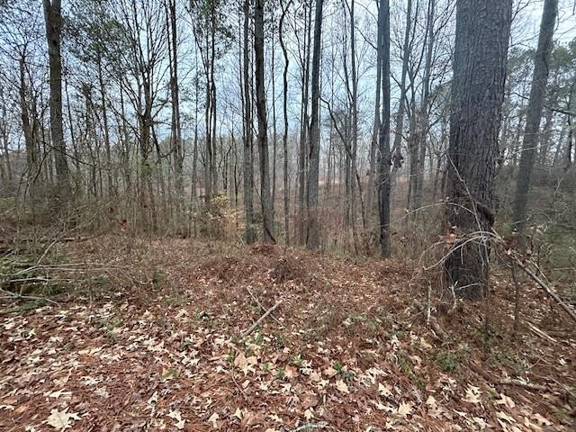 1089 Damascus Dr., Ball Ground, GA 30107