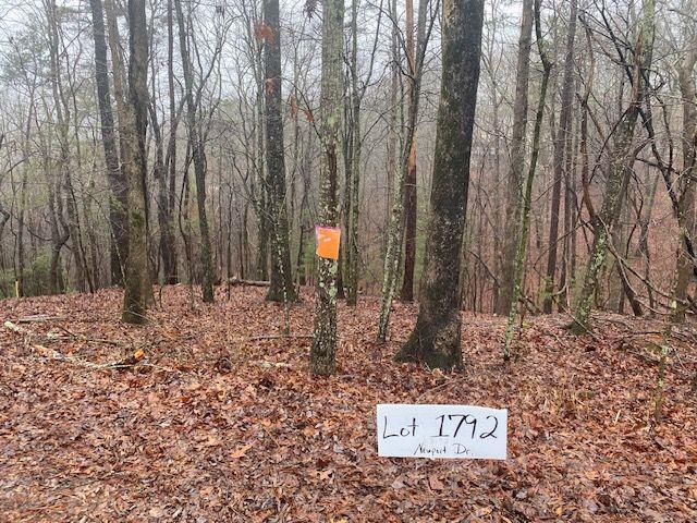 3190 Newport Dr., East Ellijay, GA 30540
