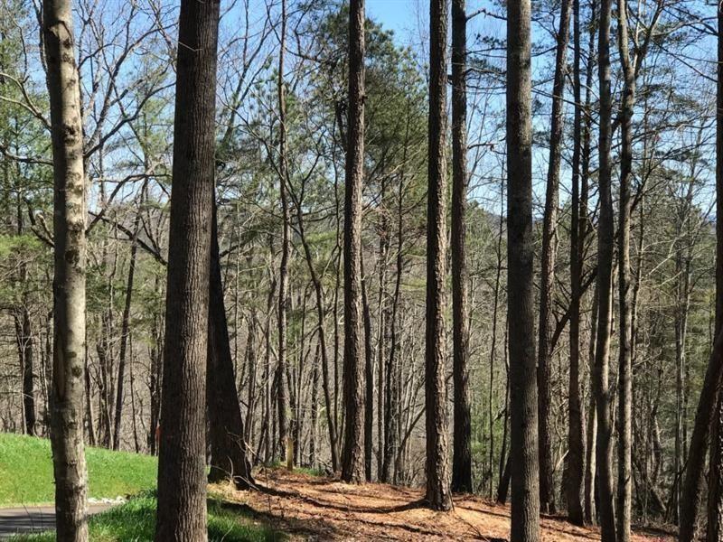 Carters View Dr., Ellijay, GA 30540