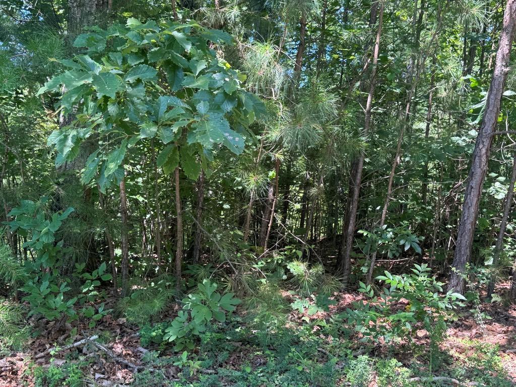 189 Hopewell Dr., Ranger, GA 30734