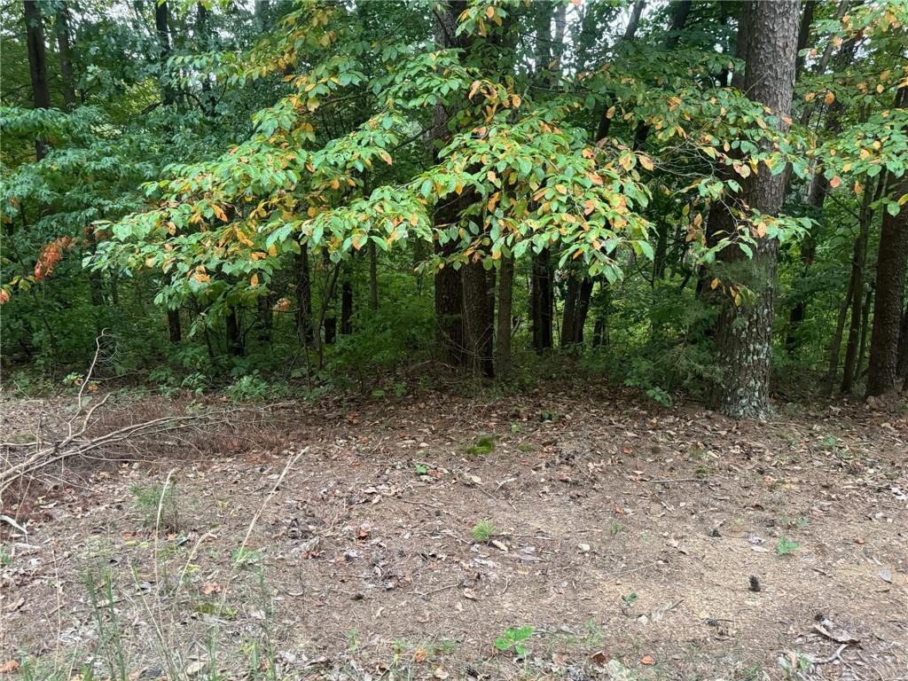 208 Oxford Cir., Ranger, GA 30734