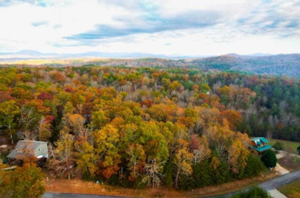 Harbin Ct., Morganton, GA 30560