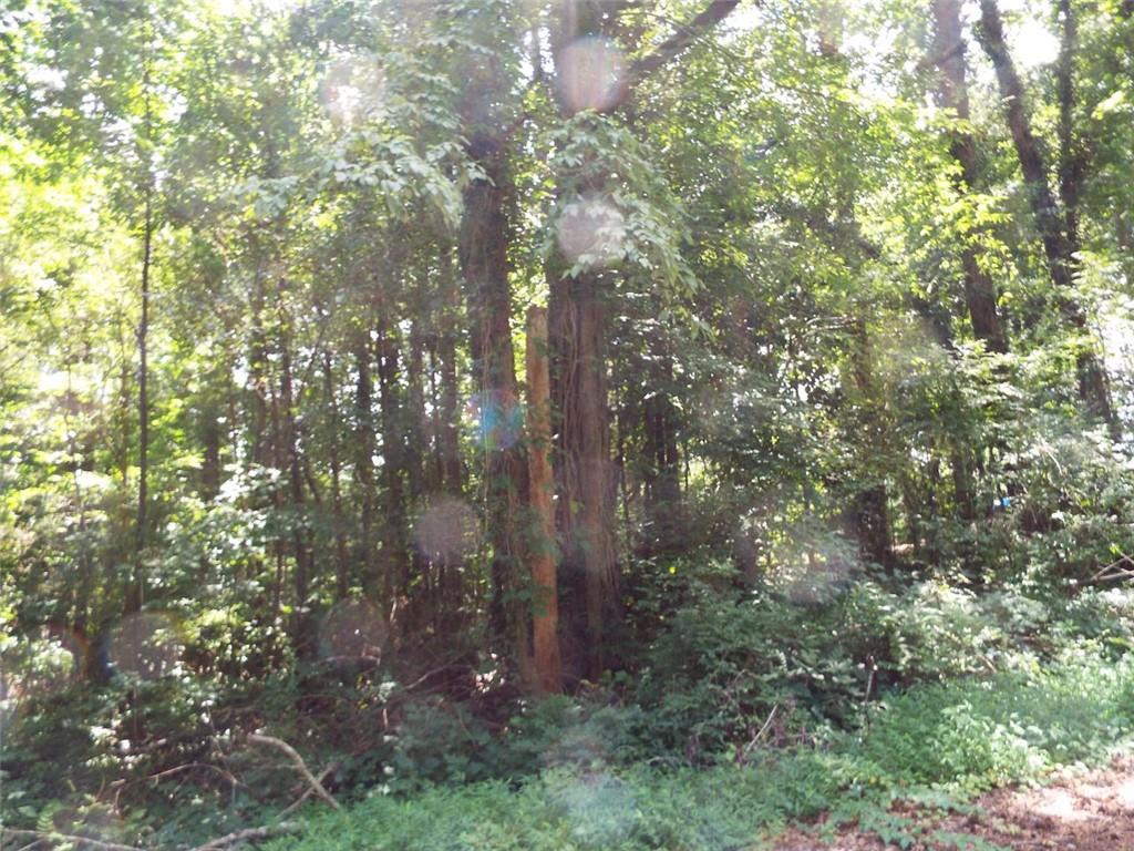 Swan Lake Rd-lot 4 E, Stockbridge, GA 30281