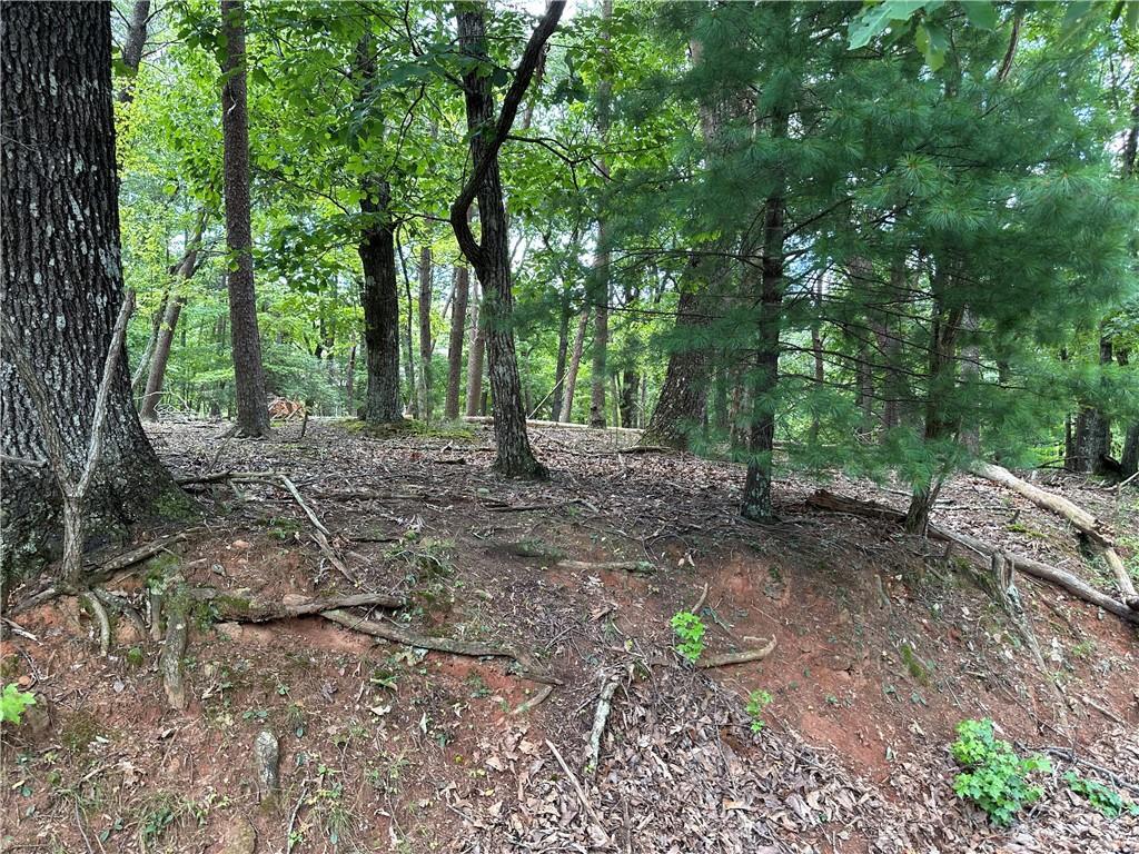 Tamarack Dr., Jasper, GA 30143