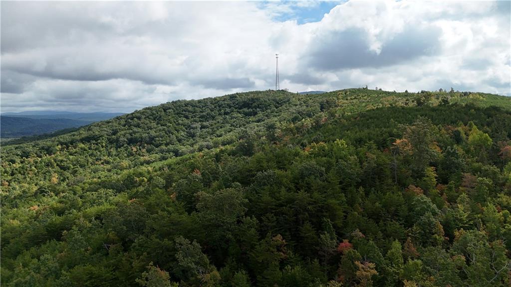 000 Cherokee Hills Dr., Rydal, GA 30171