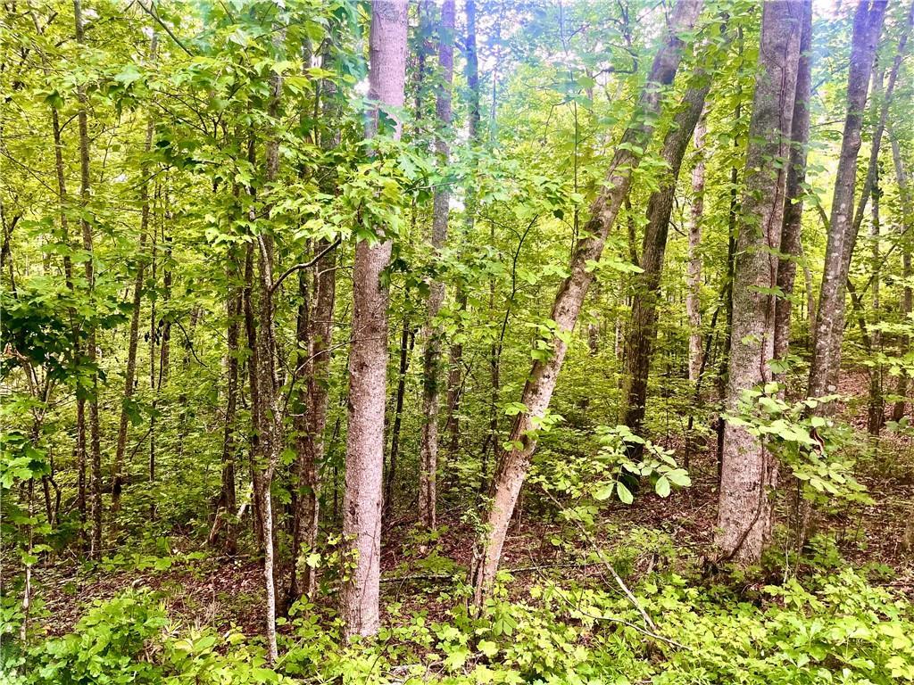 Mountain Brook Rd., Dawsonville, GA 30534