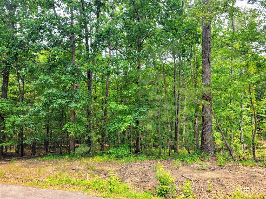 3234 Greenhill Dr., Villa Rica, GA 30180