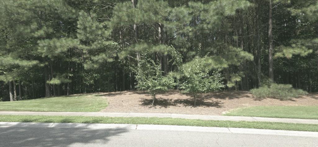 815 Waterford Estates Manor, Canton, GA 30115