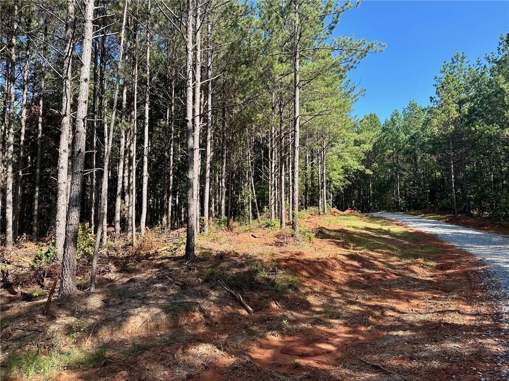 6 Patriot View Dr., Dahlonega, GA 30533
