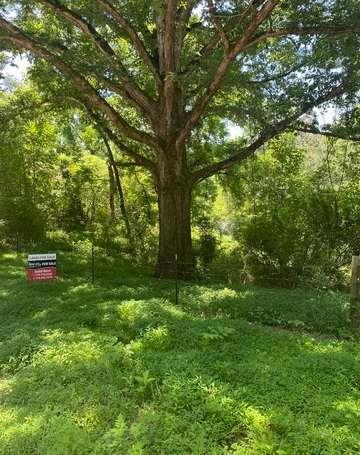 O Porter Springs Rd., Dahlonega, GA 30533