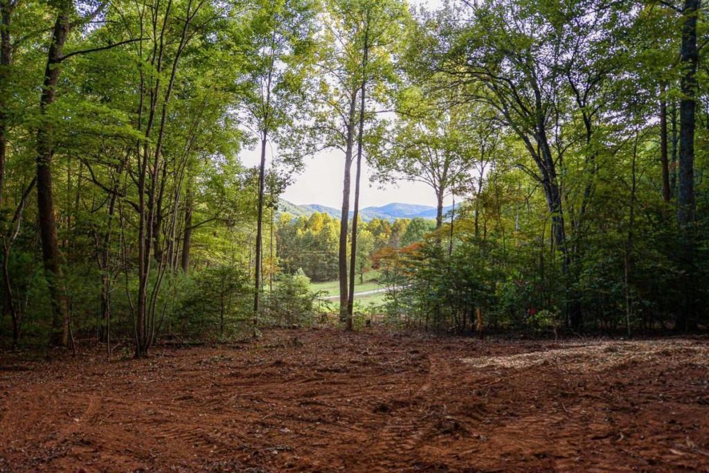 Cottonwood Ln., Blue Ridge, GA 30513
