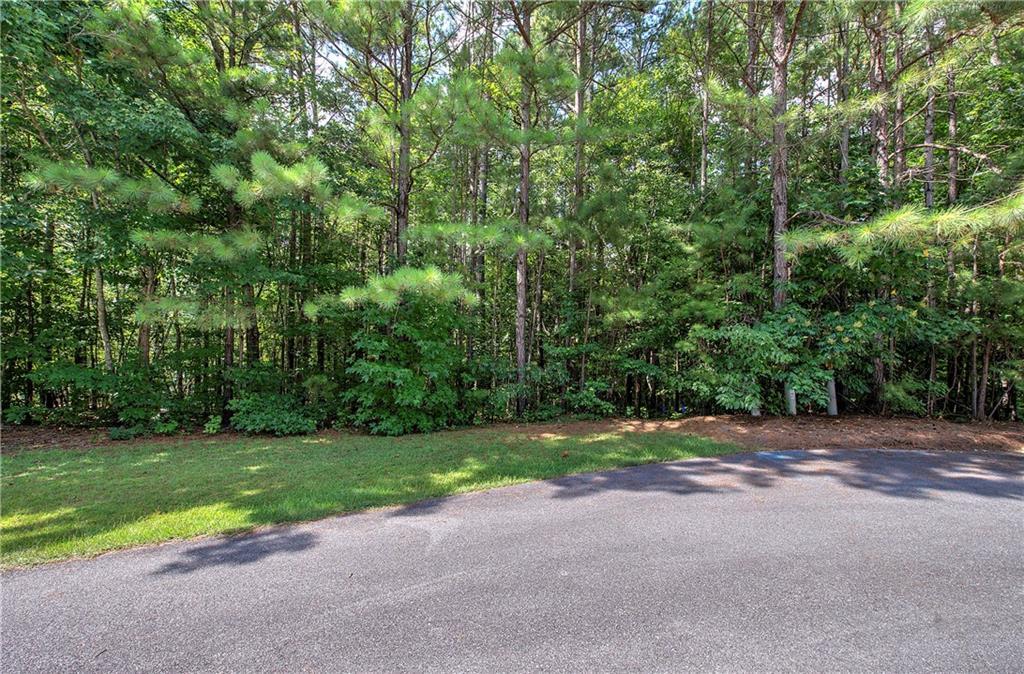 Forest Creek, Dallas, GA 30132