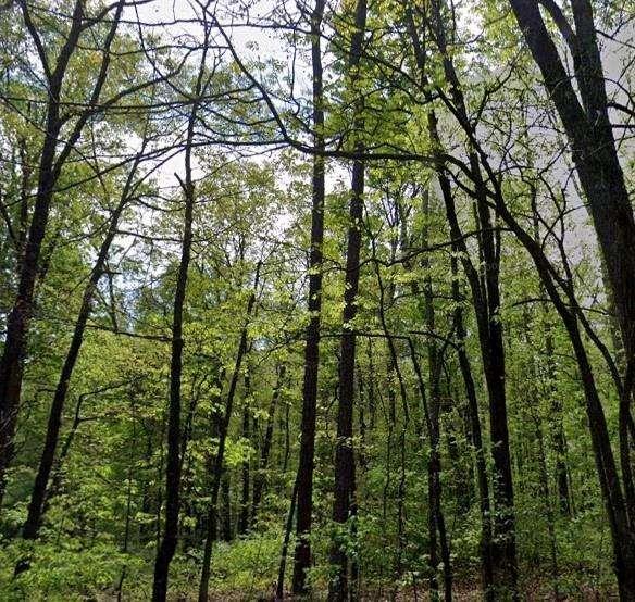 Carson Wages Rd., Winder, GA 30680